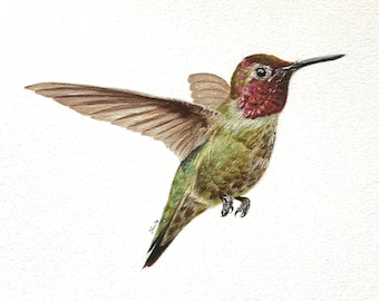 Hummingbird - Original Oil Painting, Animal Illustration, Birds Art, Modern Colorful Artwork, Hand-Painted Bird, Home Decor, 9x12