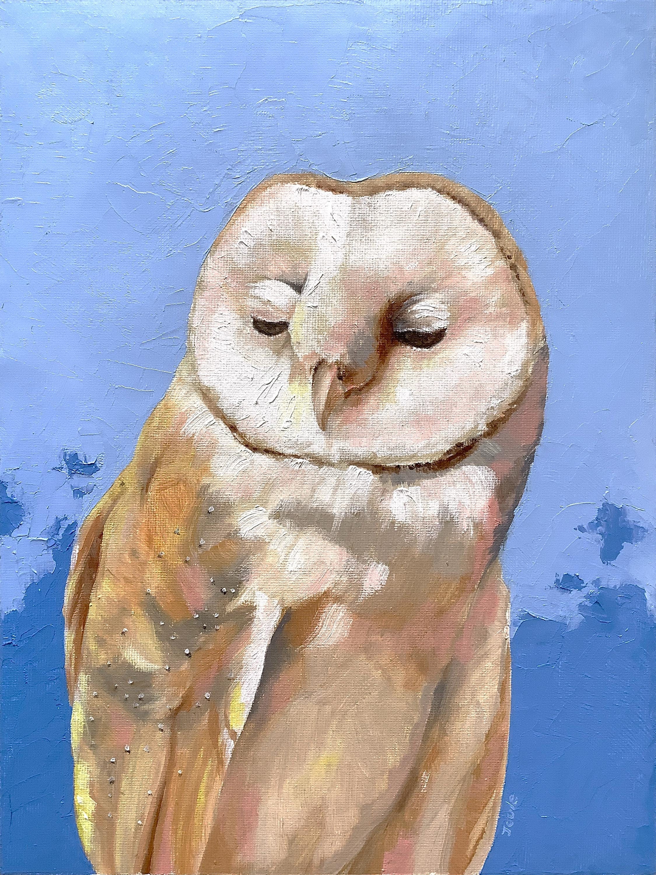 Barn Owl - Original Oil Painting, Bird Portrait Art, 9x12