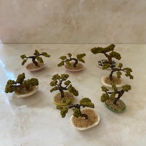 Bonsai Dollshouse Plants 1:12 scale, Dollshouse Plants for House or Conservatory, Miniature Plants - by Mimi
