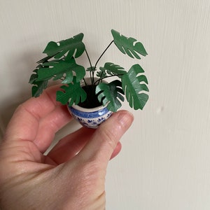 Cheeseplant Kit - Monstera Deliciosa - Dollshouse Plant Kit 1:12 scale, Dollshouse Plant Kit, Miniature Plants - by Mimi - POT NOT INCLUDED