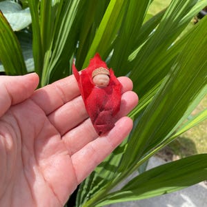 Può includere: Una statuetta in miniatura di un bambino dalla carnagione chiara, che indossa una cupola di ghianda marrone come cappello. Il bambino è avvolto in una fascia di tessuto rosso brillante a forma di foglia, creando un piccolo ornamento decorativo.