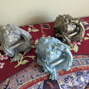 Dragon In A Shell