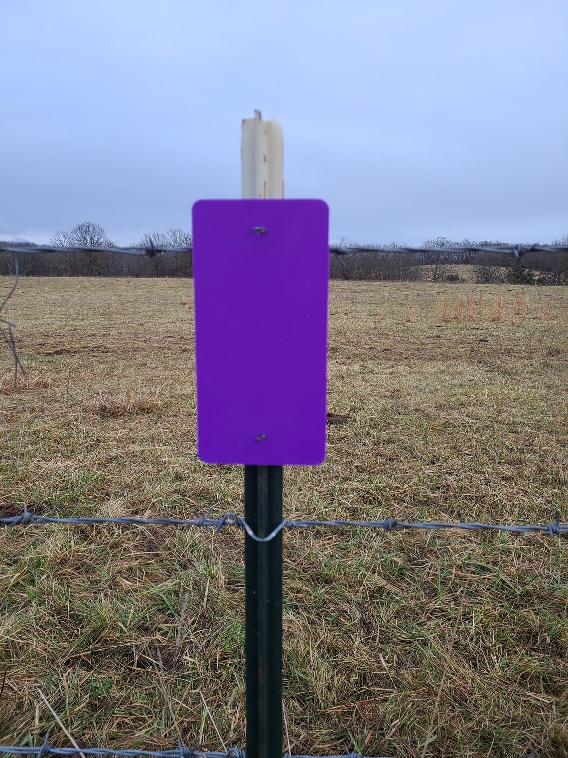 No Trespassing Purple Plastic Signs Durable Long Lasting Etsy