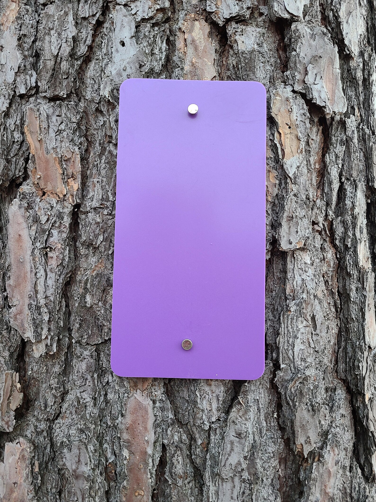 No Trespassing Purple Plastic Signs Durable Long Lasting Etsy