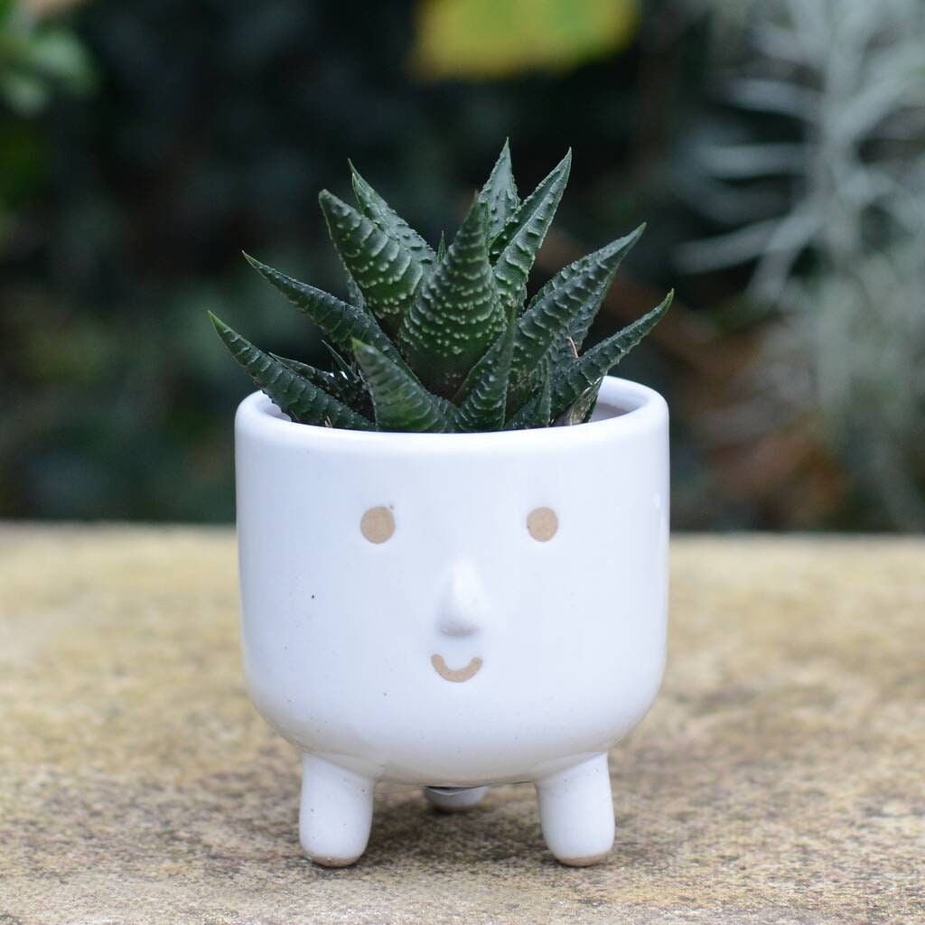 Grau Smiley Gesicht Pflanze Topf mit Auswahl an Pflanzen Etsy