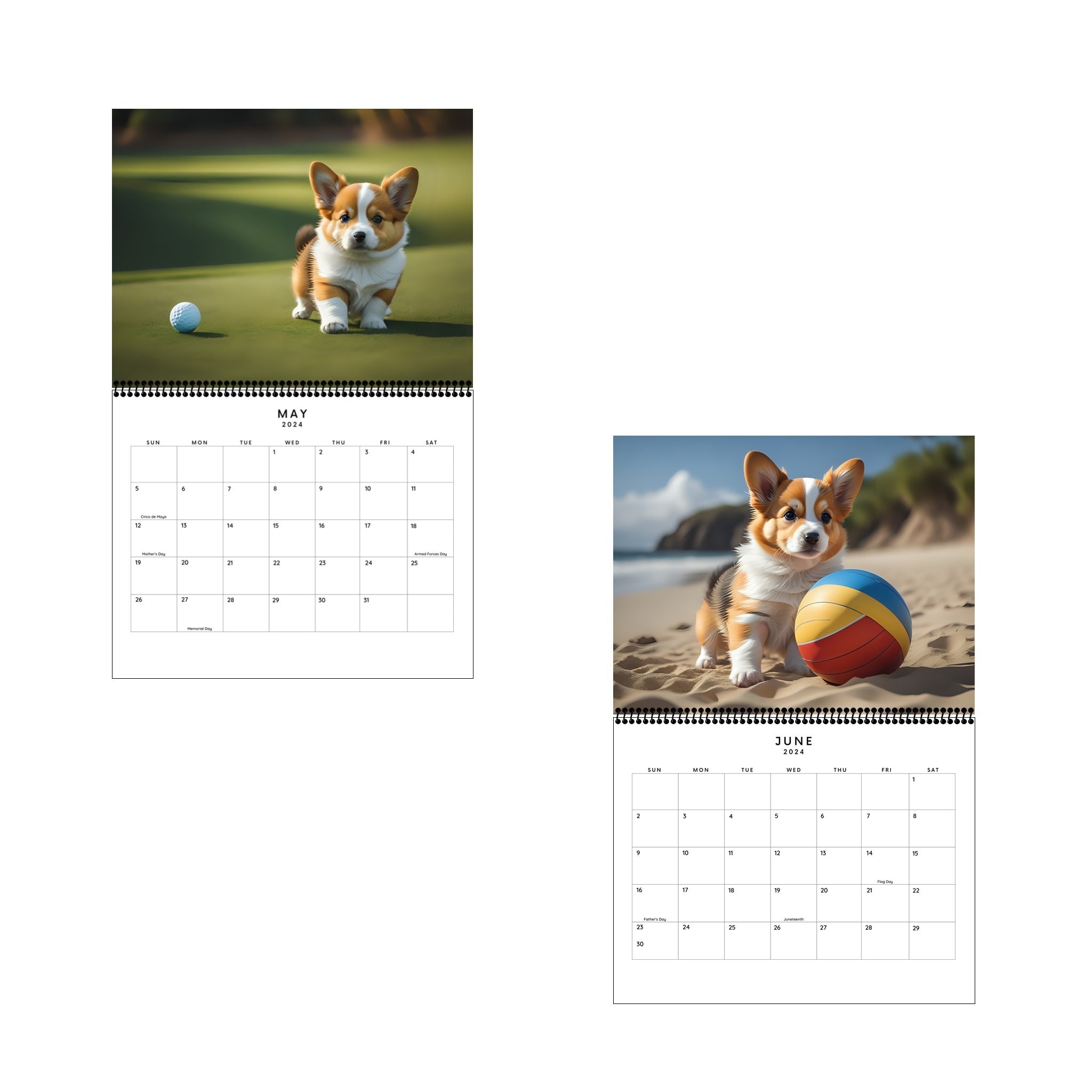 2024 Sporty Dog 12 Month Calendar Dogs and Puppies Monthly
