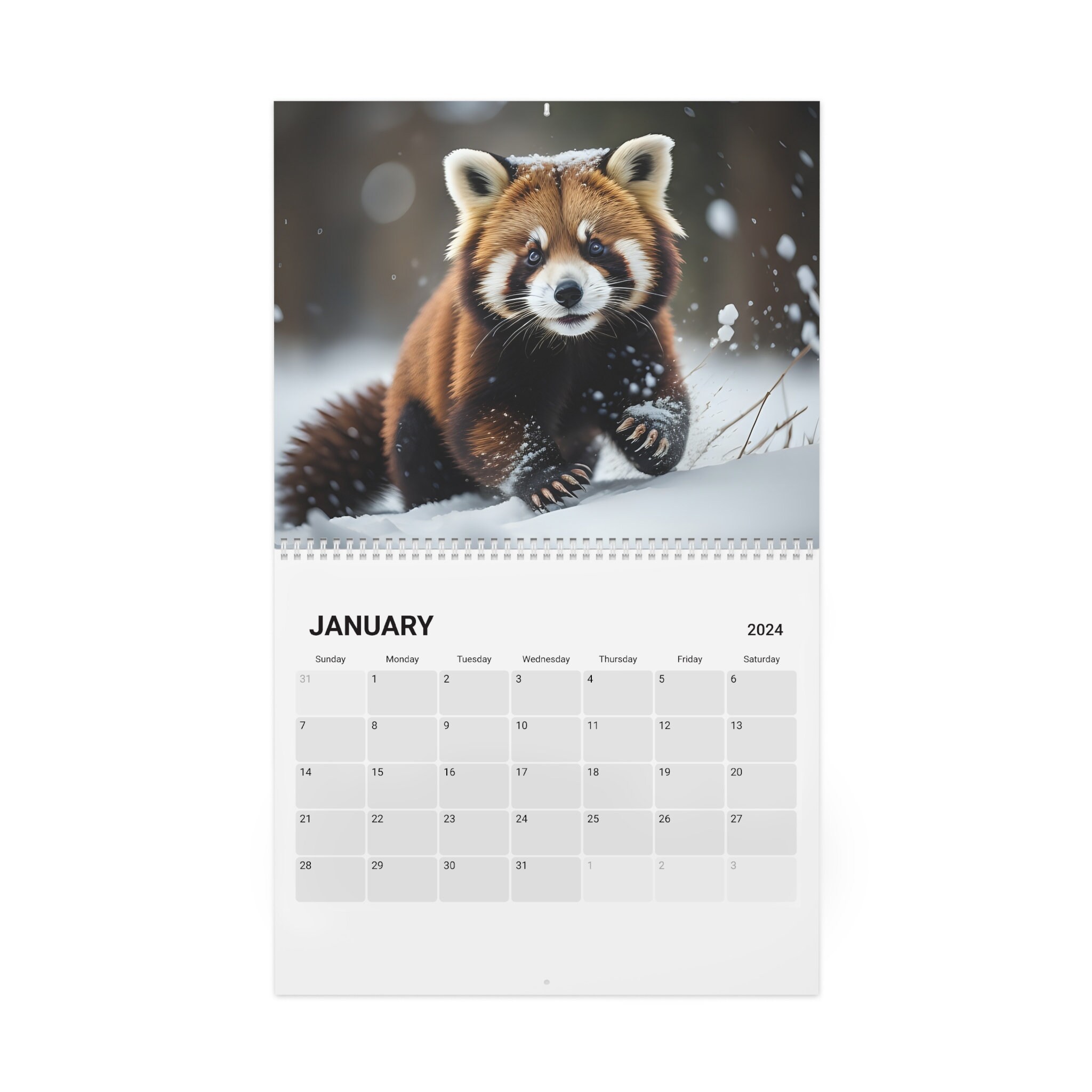 2024 Cute Red Panda 12 Month Calendar Red Pandas Monthly Wall Calendars