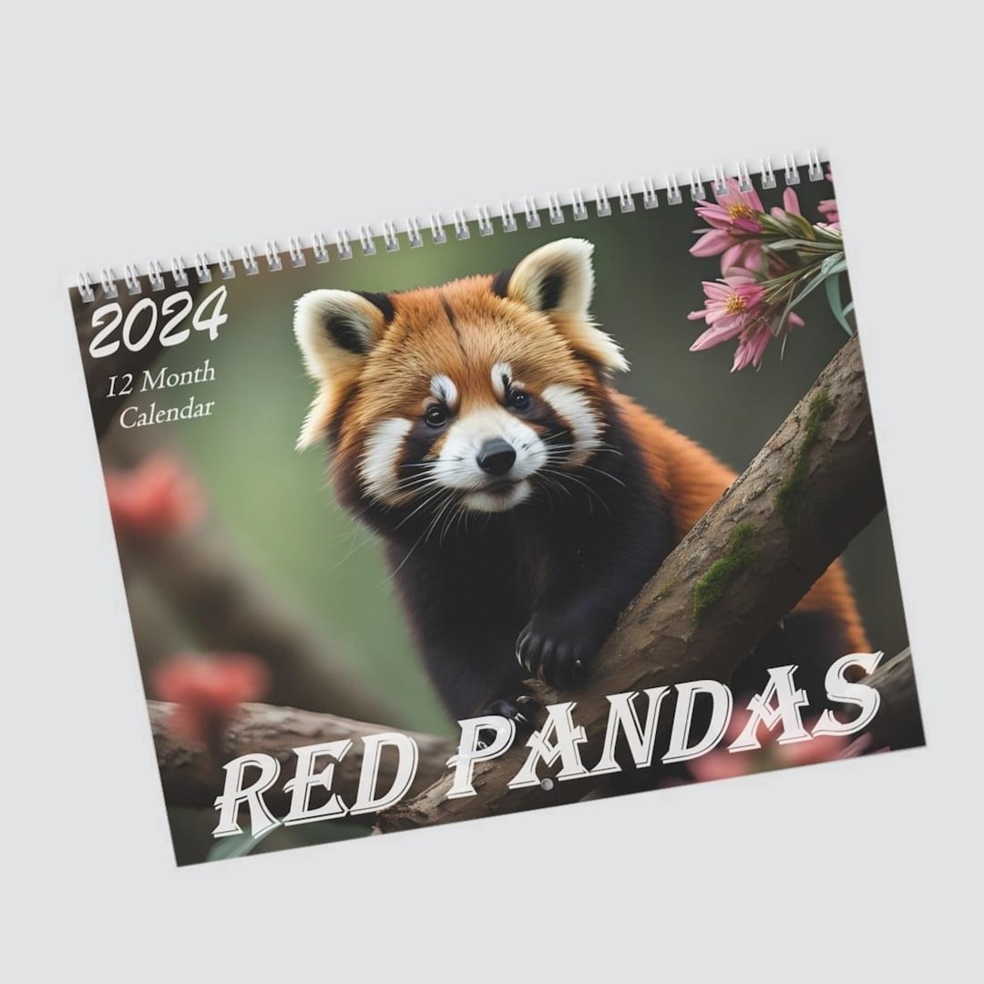 2024 Cute Red Panda 12 Month Calendar Red Pandas Monthly Wall Calendars