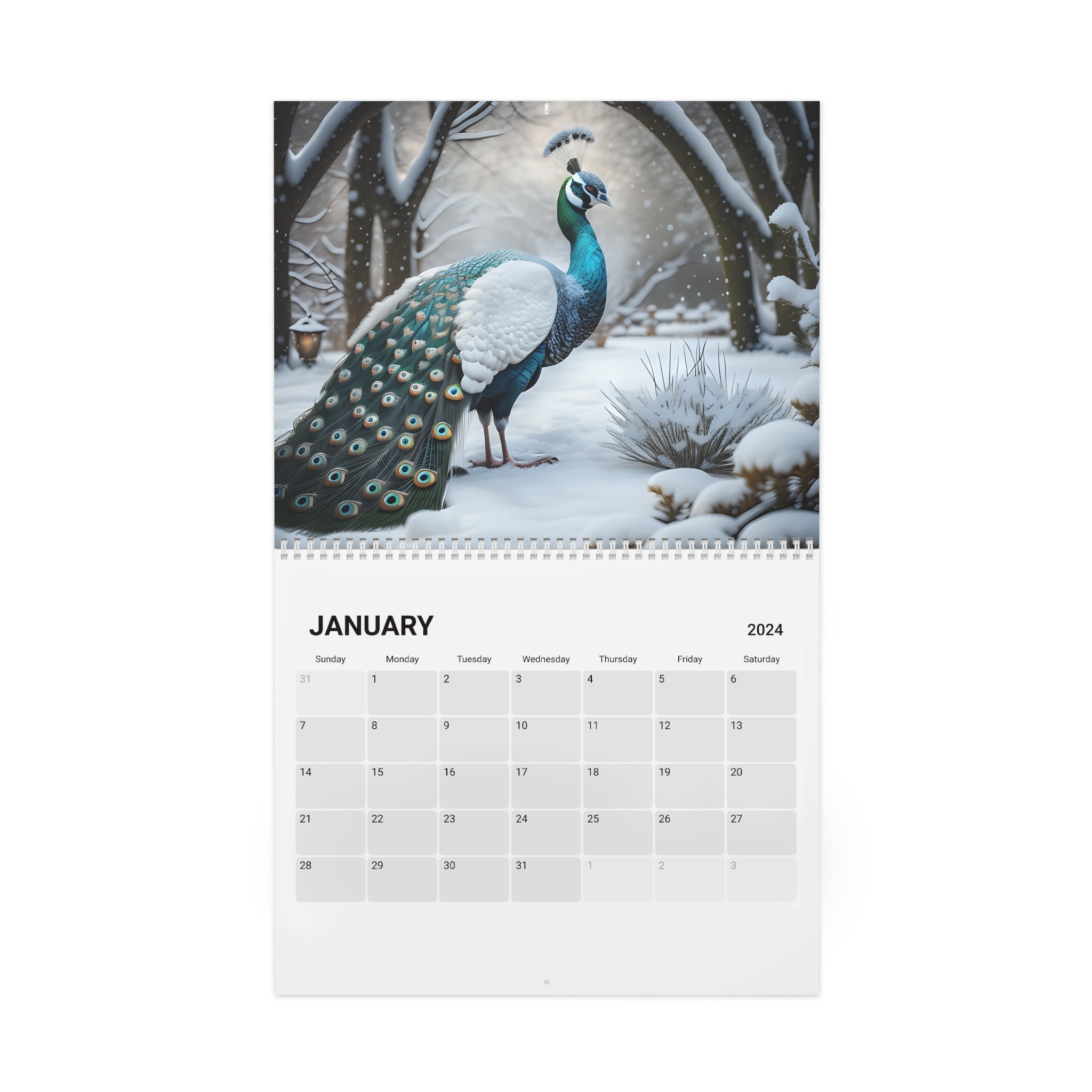 2024 Fantasy Peacocks 12 Month Calendar Beautiful Peacock Bird Lover