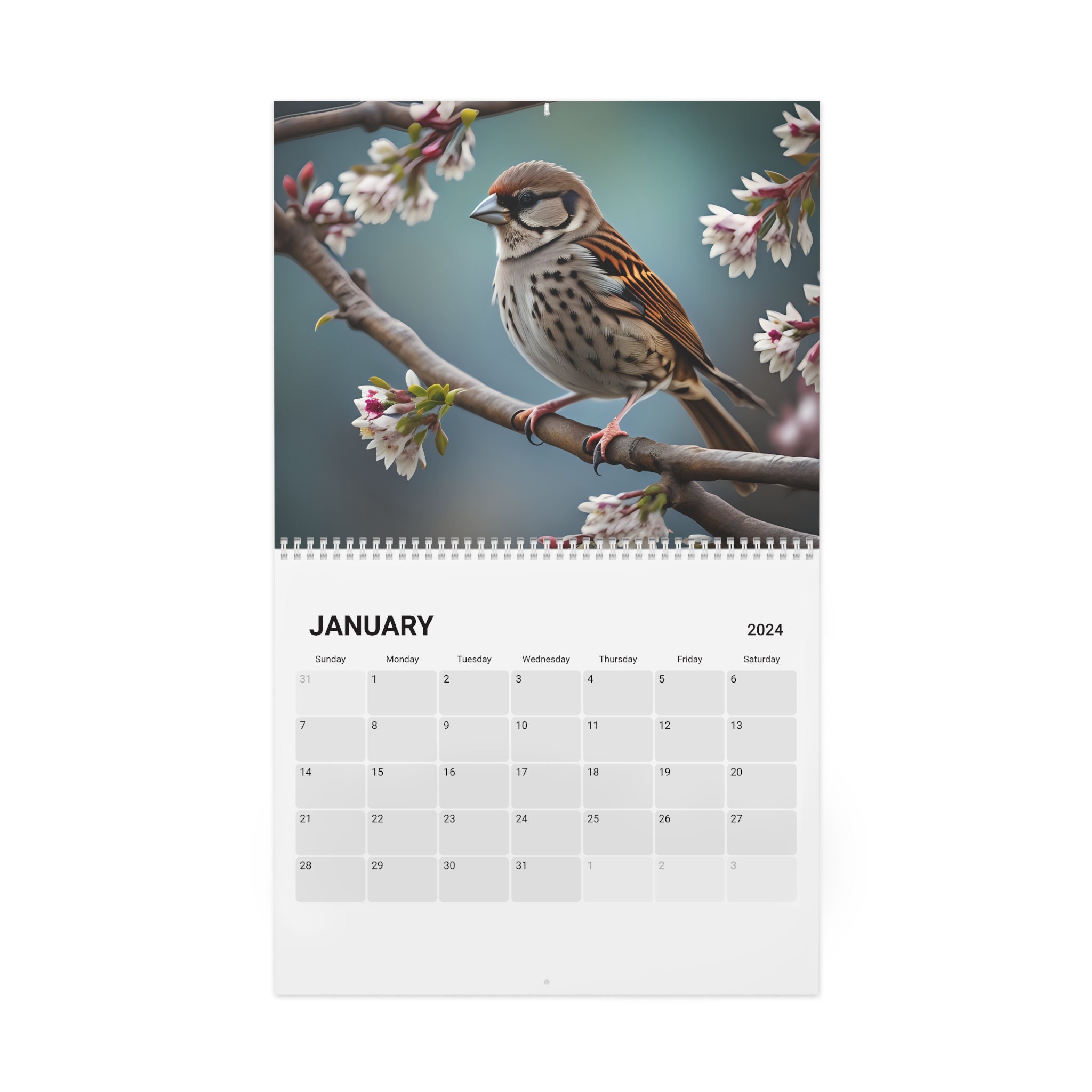 2024 Backyard Birds 12 Month Calendar Bird Watcher Monthly Wall Calendars Bluejay, Cardinal