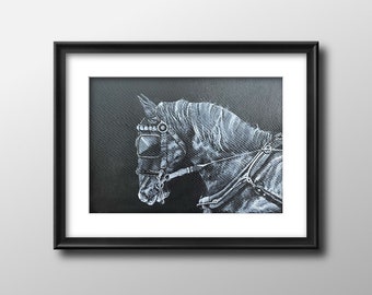 Stampa artistica di un pony da pitbull: ritratto di un cavallo di razza Welsh Heritage.