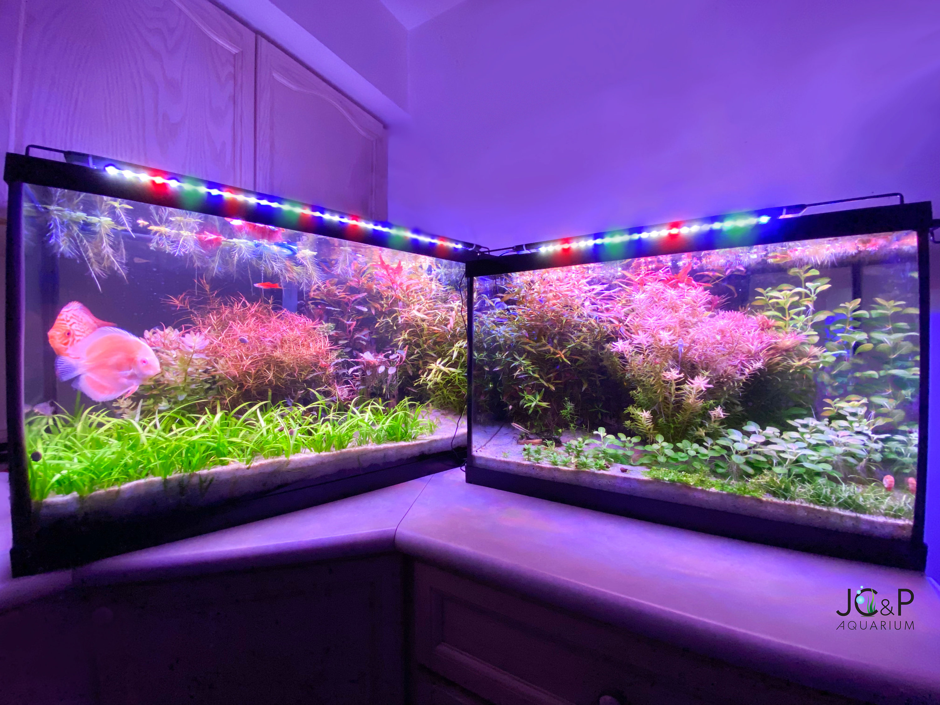 JC&P Full Spectrum Aquarium LED Light With Extendable Brackets Etsy