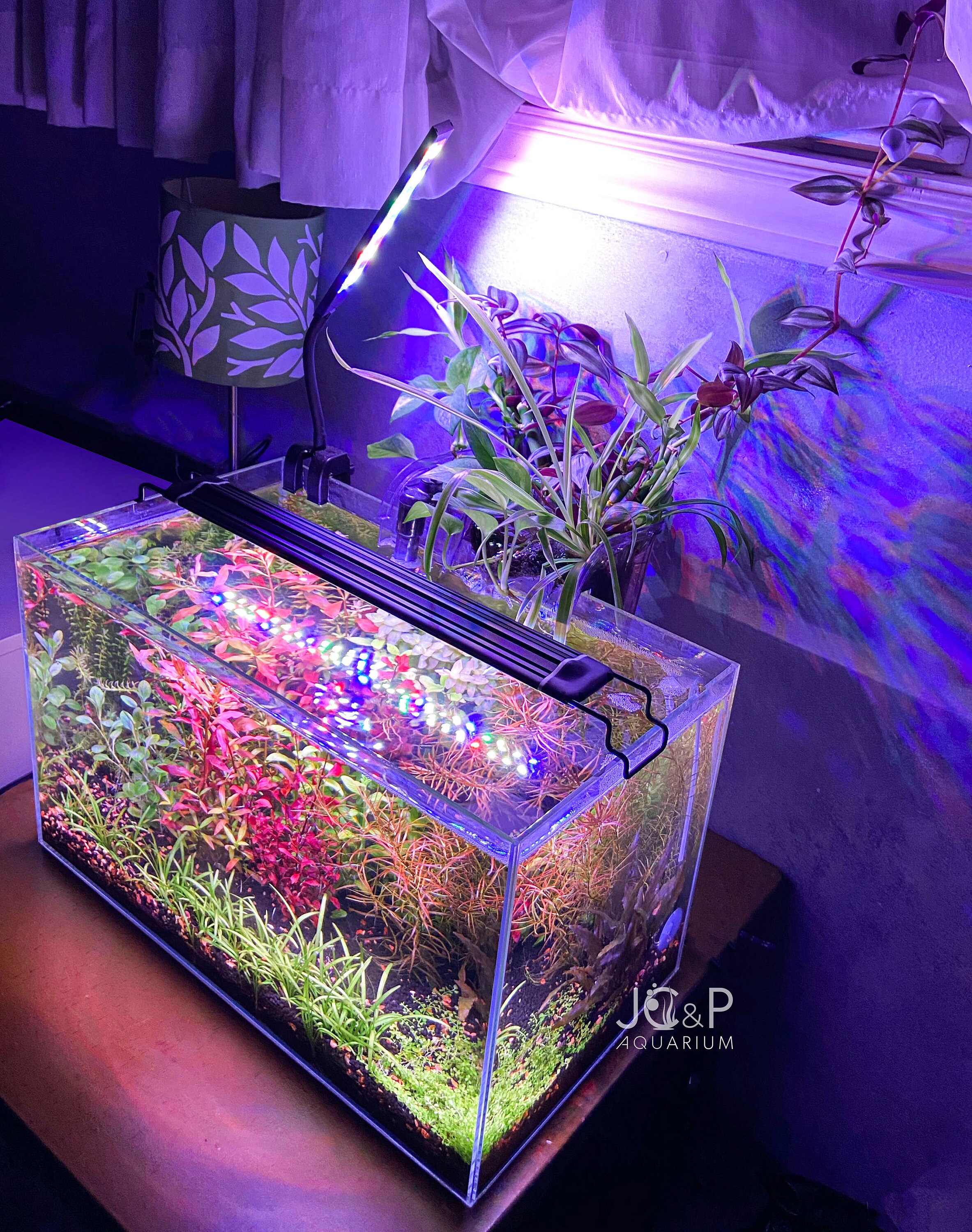 JC&P Full Spectrum Aquarium LED Light With Extendable Brackets Etsy