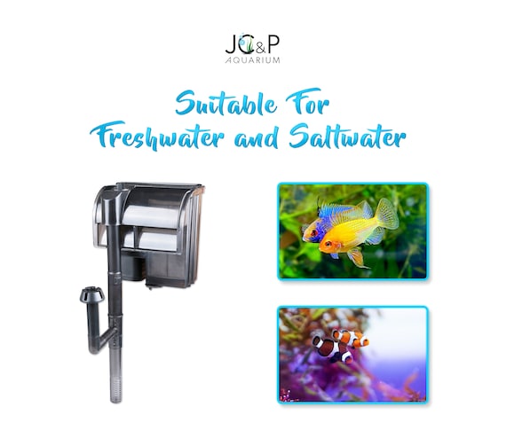 105 Gallon Rimless Aquarium
