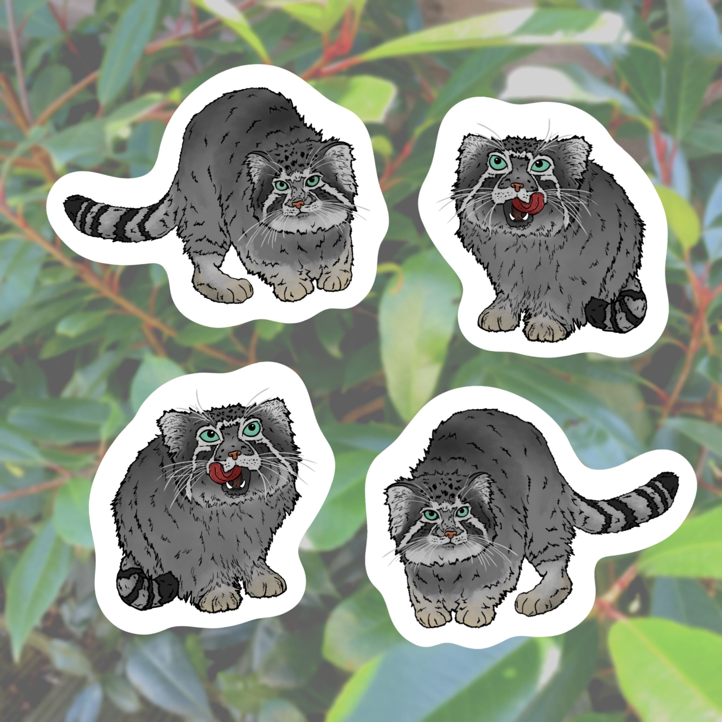Pallas’s Cat Sticker Pack of 4, Stickers Scrapbook Scrapbooking Matte ...