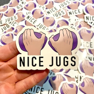 Stickers mooie kannen SET VAN 2 | Rotsklimmen | Set van 2 | Boulderen cadeau klimset klimset Dyno Jug Boulder Hold vinger sticker label sticker