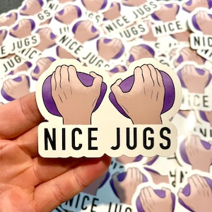 Nice Jugs Stickers SET OF 2 | Rock Climbing | Pack of 2 | Bouldering Gift Climber Climb Set Dyno Jug Boulder Hold Finger Decal Label Sticker