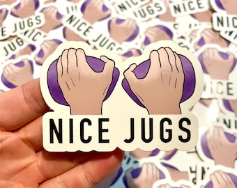 Stickers Jugs Nice LOT DE 2 | Escalade | Lot de 2 | Cadeau d'escalade pour grimpeur