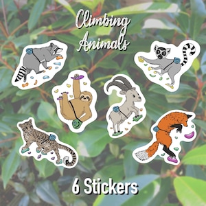 Rock Climbing Animal Stickers Set of 6 Decal Climb Climber Gift Notebook Accessories Birthday Belay Chalk Bag Boulder Trad Rope Art Vinyl