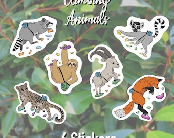 Rock Climbing Animal Stickers Set of 6 Decal Climb Climber Gift Notebook Accessories Birthday Belay Chalk Bag Boulder Trad Rope Art Vinyl