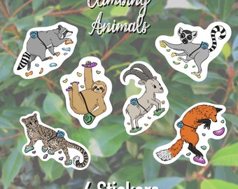 Rock Climbing Animal Stickers Set of 6 Decal Climb Climber Gift Notebook Accessories Birthday Belay Chalk Bag Boulder Trad Rope Art Vinyl