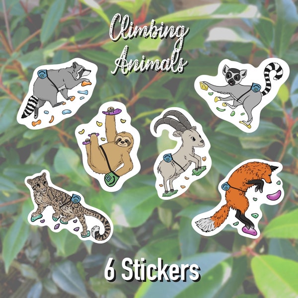 Rock Climbing Animal Stickers Set of 6 Decal Climb Climber Gift Notebook Accessories Birthday Belay Chalk Bag Boulder Trad Rope Art Vinyl