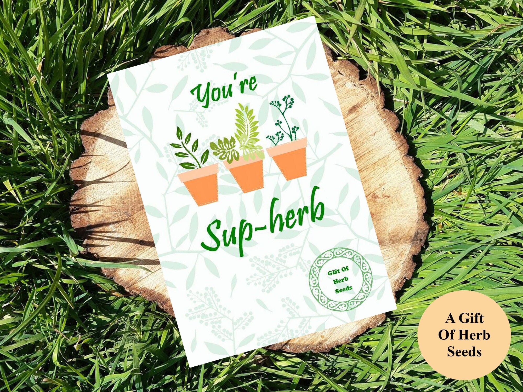 Herb seed greeting card with a gardening pun. Basil seeds Etsy