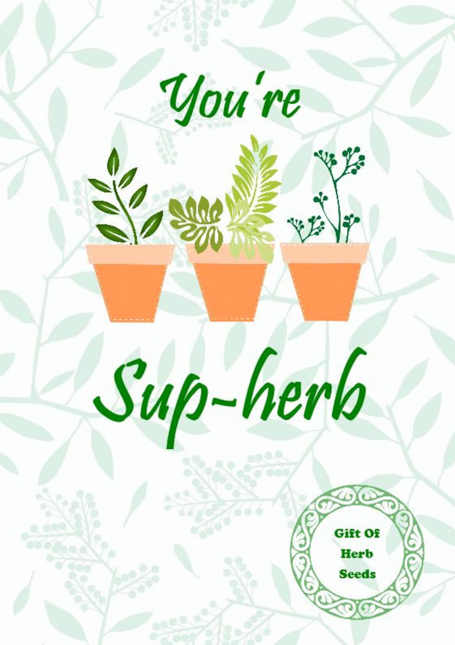 Herb seed greeting card with a gardening pun. Basil seeds Etsy