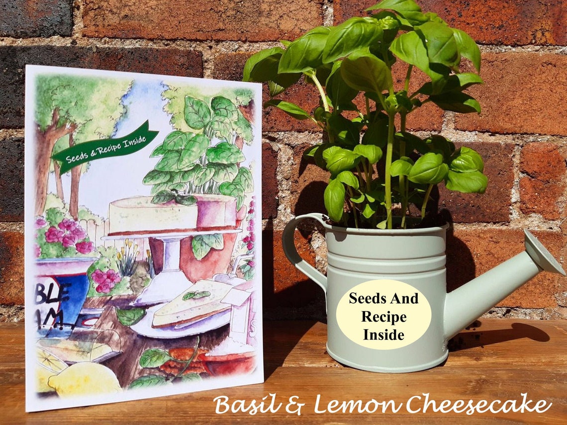 Herb seed card Greeting card with a gift of basil seeds Etsy