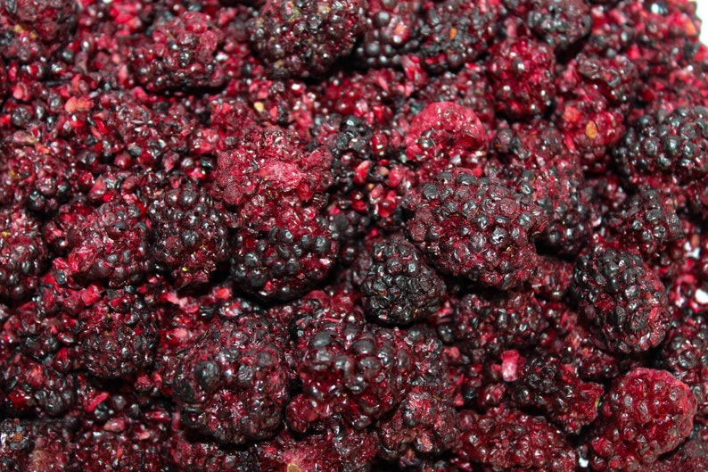 Freeze Dried Blackberry Whole 100g Etsy