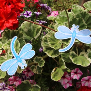 Stickers - Set de 2 libellules ciel - jour et nuit