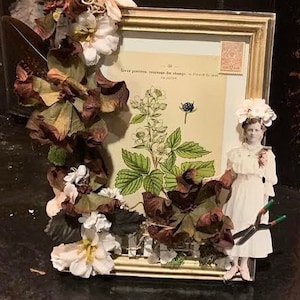 May include: A vintage picture frame decorated with dried flowers and a botanical print of a plant with white flowers and black berries. The frame also features a cutout of a girl in a white dress holding gardening shears.