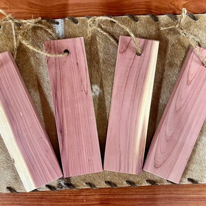 May include: Four cedar wood blocks with holes drilled through them and twine attached. The blocks are a reddish-brown color and have a natural wood grain.