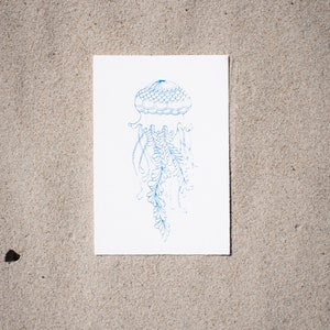 Hand Printed Art Prints Postcards Surferstyle Sea Lovers Nature Qualle blau
