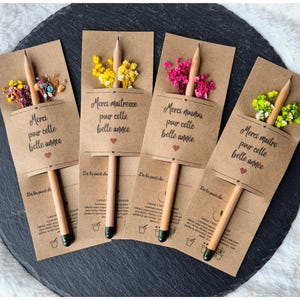 Crayon à planter – Cadeau fin d’année scolaire Merci maîtresse ATSEM maître nounou | Cadeau écologique enseignant
