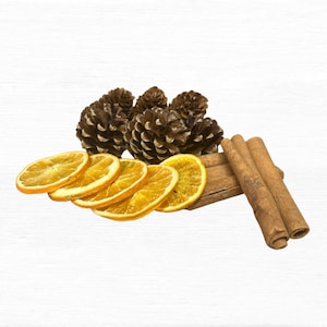 Christmas Wreath Making Kit: Dried Orange, Cinnamon, Pinecones