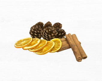 Christmas Wreath Making Kit: Dried Orange, Cinnamon Sticks and Gold Pinecones