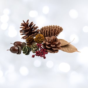 May include: A collection of pine cones, acorns, and berries in shades of brown, green, and red. The pine cones are arranged in a cluster, with the acorns and berries scattered around them. The background is a soft, white blur.