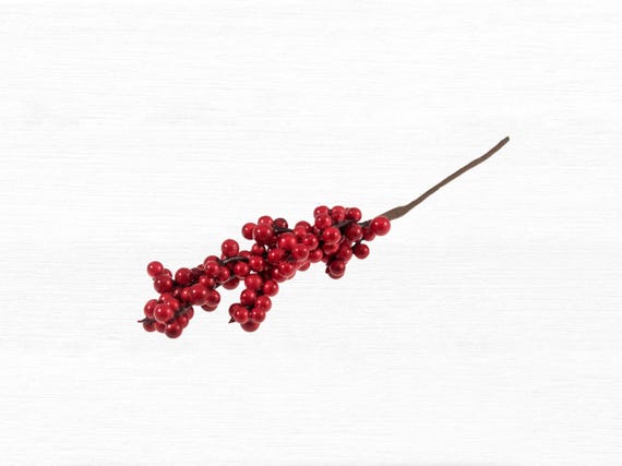 Red Pepperberry Pick: Length 20cm, Versatile Wired Embellishment for Festive Wreaths, Crafts and Seasonal Home Decor