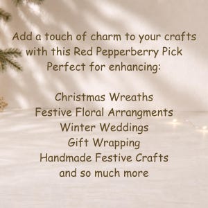 Op de afbeelding: Een grafische afbeelding met donkerbruine tekst op een lichte achtergrond. De tekst luidt: Add a touch of charm to your crafts with this Red Pepperberry Pick Perfect for enhancing: Christmas Wreaths Festive Floral Arrangments Winter Weddings Gift Wrapping Handmade Festive Crafts and so much more.