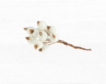 フロストホワイト スノーベリーピック、冬の花飾り、12 cm