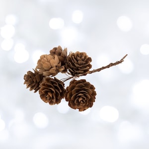Natural Pinecones On A Wire, 6 Pinecones Per Bunch, Perfect For Christmas Wreaths, Festive Crafts, Seasonal Home Decor
