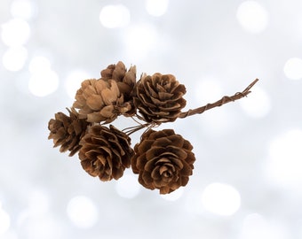 Pinecones on Wire: Natural: bunch of 6 Pinecones on Wire: Natural: bunch of 6