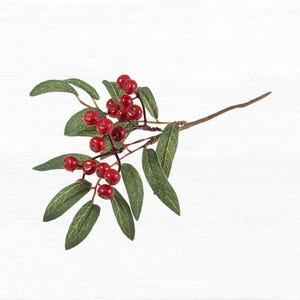 Huckleberry Branch: 25cm Huckleberry Branch: 25cm