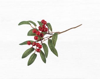 Huckleberry Branch: 25cm Huckleberry Branch: 25cm