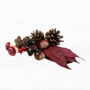Craft Wreath Mix: Toadstools and Conkers - 50g Craft Wreath Mix: Toadstools and Conkers - 50g