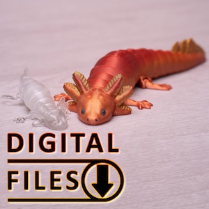 Peut inclure: Deux figurines d'axolotl, une transparente et une orange, sont présentées sur une surface claire. L'axolotl orange a des branchies et une queue dorées. L'image comprend le texte "DIGITAL FILES" avec une flèche vers le bas.