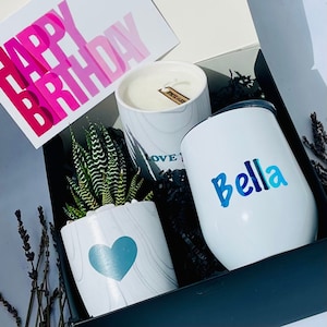 The Zebra The Candle And The Wine Tumbler, Thank You Gift Box, Candle Gift Box, Succulents Gift Box.