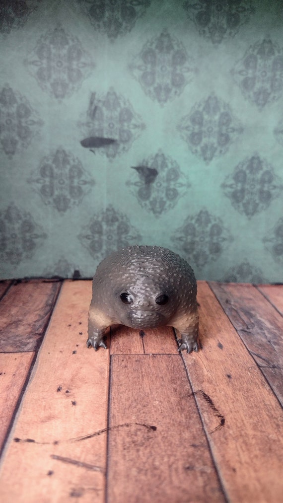 Black rain frog avocado frog Hand-painted collectible | Tiny grumpy desk buddy miniature
