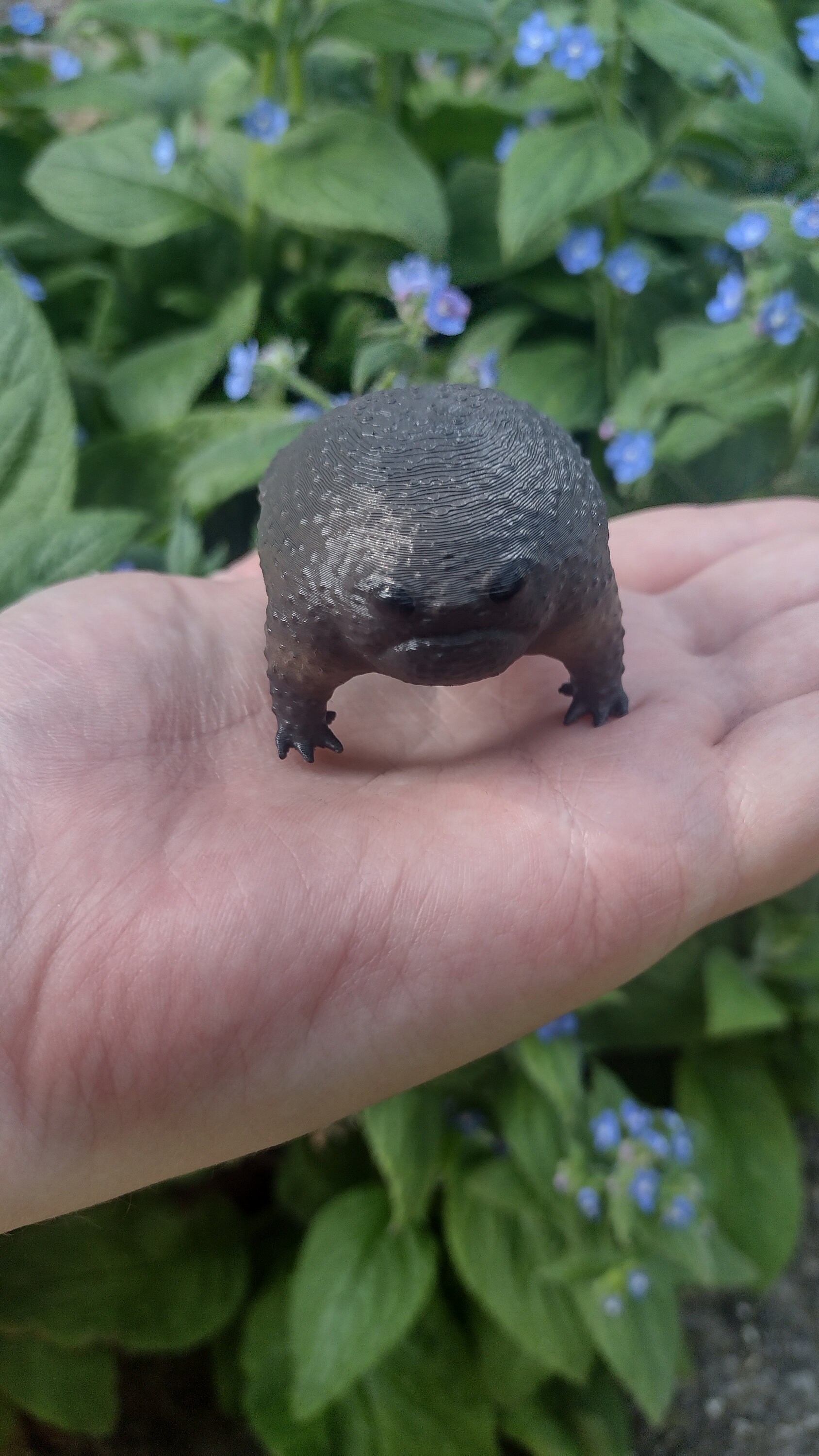 Black Rain Frog Avocado Frog Hand-painted Collectible | Tiny Grumpy ...